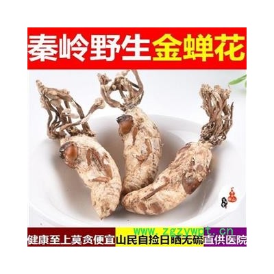 金蝉花 秦岭优质蝉花 日晒无硫500g