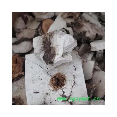 【茯神大统】【润泽中药】 中药材批发供应 规格齐全 量大从优