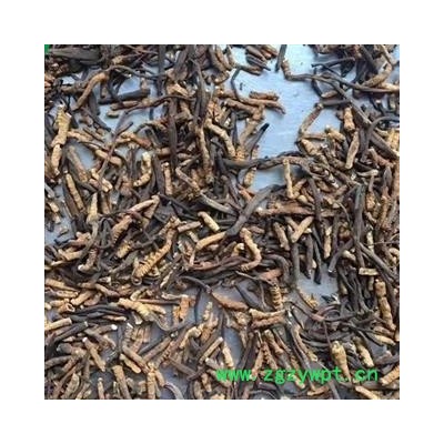 诺源药材行中药材正宗西藏那曲冬虫夏草 断草