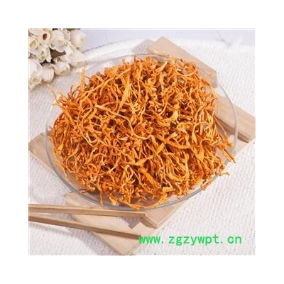 虫草花 统货-虫草子实体-煲汤泡茶必备 产地 内蒙古自治区呼和浩特市