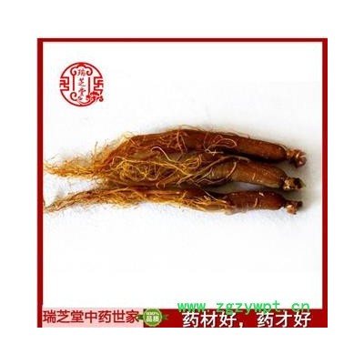 红参 红参无糖20支 药典正品 中药材瑞芝堂产地直销
