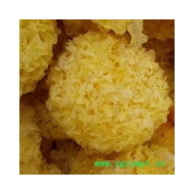 银耳 银耳统货 产地 辽宁省