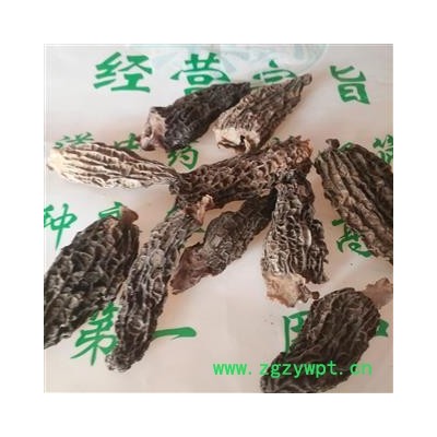 安祁名药中药材羊肚菌 剪柄 选货