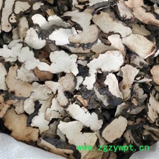 陕西 猪苓 统片 包检测 假一赔十 诚信经营