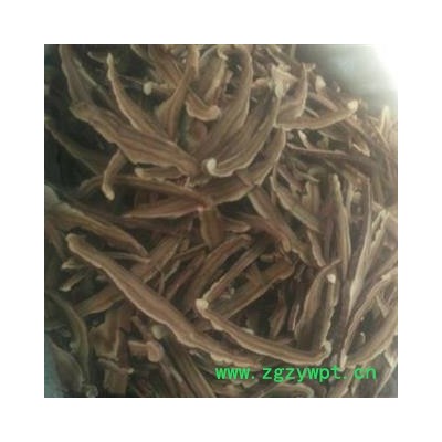 灵芝中药材 赤灵芝 泰山灵芝 灵芝片  野生灵芝 家种灵芝 产地山东安国市场批发零售大全