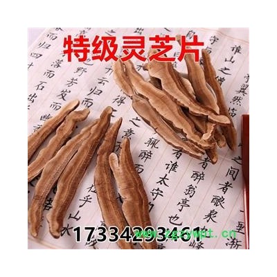 中药材  长白山切片 手选灵芝片 新货上市