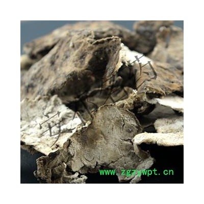 安祁名药茯苓皮 云苓皮 茯灵皮 统 产地 安徽省