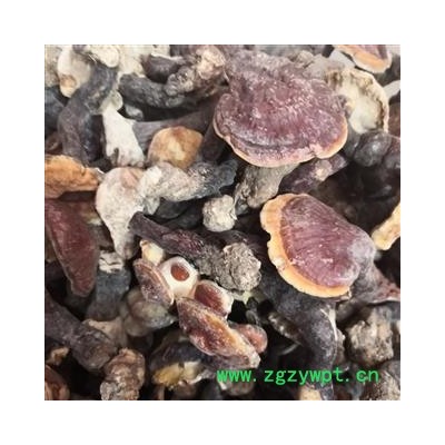 安祁名药湖北野生灵芝  神农架灵芝