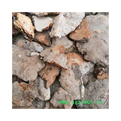 安祁名药正品斑褐灵芝 斑褐孔菌