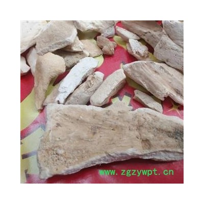 安祁名药优质野生硫磺菌灵芝 硫黄多孔菌