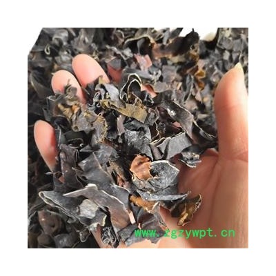 安祁名药昆布 纶布  海昆布  另有海藻