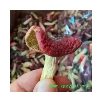 安祁名药食用菌蘑菇