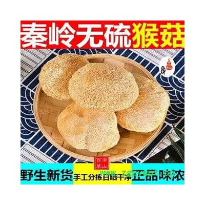 秦岭天然无硫猴头菇 猴菇 猴姑 猴菇菌 手摘日晒无硫250g