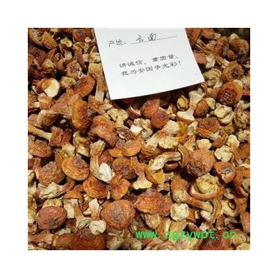 诺源药材行中药材松茸 姬松茸 松茸  云南七彩菌汤包