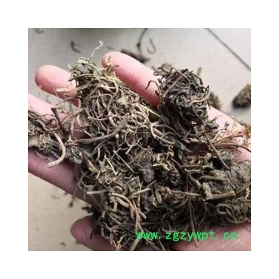 中药材蜘蛛香 马蹄香、土细辛、心叶缬草、养心莲 品种齐全 产地云南安国市场批发零售大全