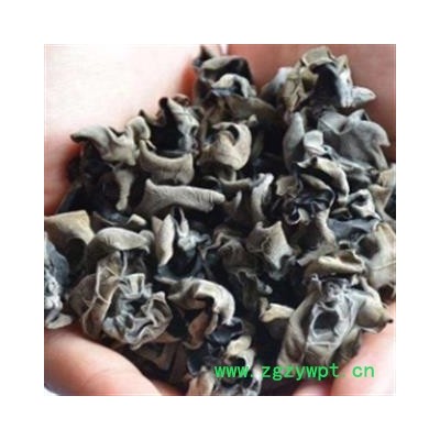 安祁名药木耳 黑木耳