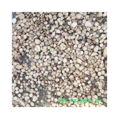 白芍 白芍圆片小统片0.2-1.2 产地 安徽省亳州市谯城区