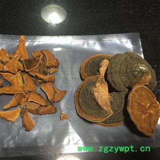 东北桑黄 暴马子丁香桑黄 1公斤起批包邮