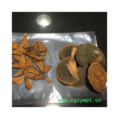 东北桑黄 暴马子丁香桑黄 1公斤起批包邮