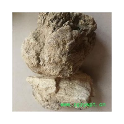 瑞森药材行中药材苦白蹄 白灵芝 玉芝、阿里红、落叶松茸、药用层孔菌