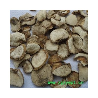 浙贝母 浙贝母无硫统片 产地 浙江省