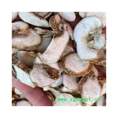 中药材贝母个 贝母片 正宗纯天然浙贝母  新货无流无添加 品质放心 安国中药材批发零售大全