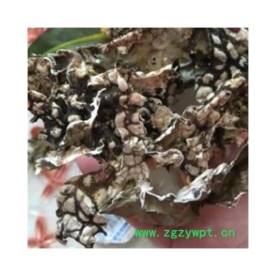 安祁名药优质老龙皮 网肺衣