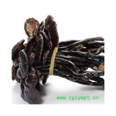 安祁名药 灵芝 野生竹灵芝