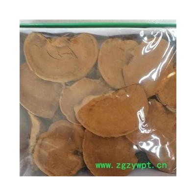 安祁名药优质野生桑黄 桑黄灵芝