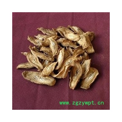 牛蒡 牛蒡片 牛蒡茶
