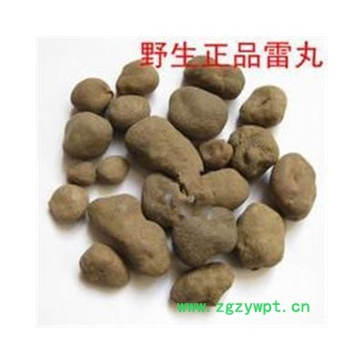 雷丸 选批发各种规格名贵药材 中草药 花茶 矿石 籽粒仁 动物 人参 冷背药材 产地 甘肃