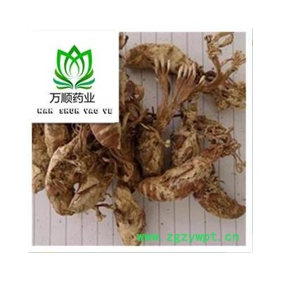 金蝉花选货 质量好 价格低  产地直销 产地 四川省