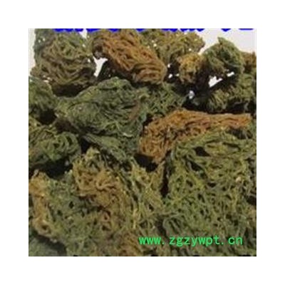 吉康药业新货红海粉 海粉丝 海兔子屎 海挂面 海粉