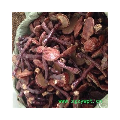 灵芝 灵芝个 产地 山东省