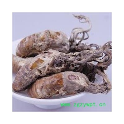 蝉花 蝉花统货 产地 安徽省