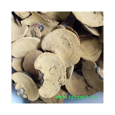 桑黄 桑上寄生 桑臣 树鸡 胡孙眼 桑黄菰 黄菇 针层孔菌 梅树菌 桑黄小个 产地 西藏自治区