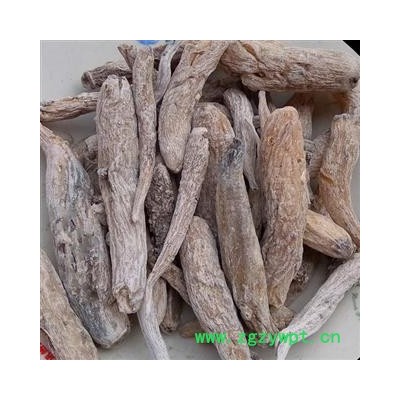 瑞森药材行入地老鼠 钻地老鼠 白古首花头紫茉莉根