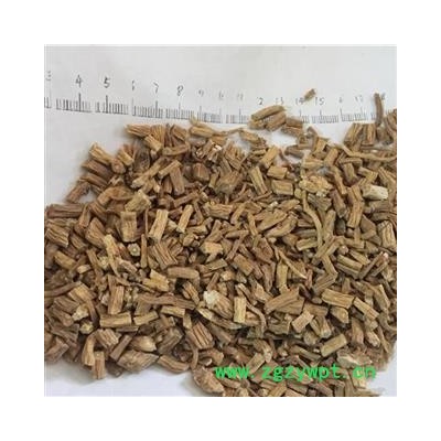 诺源药材行正品甘肃党参 新货无硫