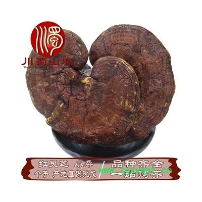 红灵芝小个统货散装1公斤起批产地直供赤灵芝川蜀山农中药材批发
