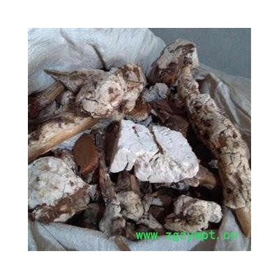 小丽百草行茯神 茯神木