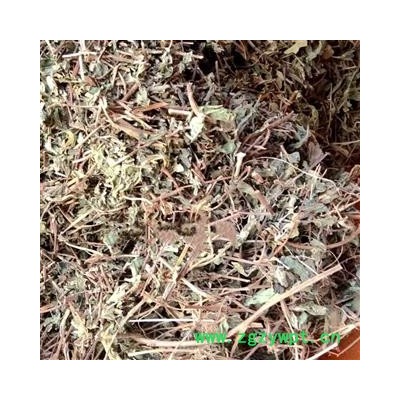 瑞森药材行雾水葛 新晒雾水葛草 糯米草 地消散 脓见消