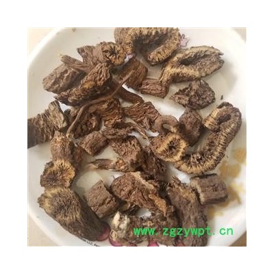 禹州漏芦 漏芦 漏芦统片