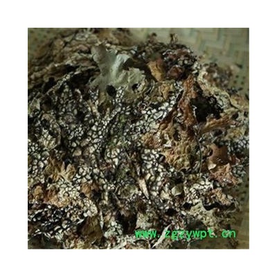 芝春堂 正品 老龙皮 老龙七 石龙皮 网肺衣 石花 各种冷背药材大全