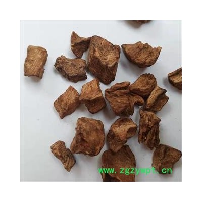 诺源药材行中药材菊苣根茶  菊苣丝 菊苣片 菊苣茶