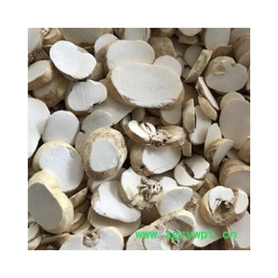 诺源药材行浙贝母 大贝片 象贝 抓药打粉