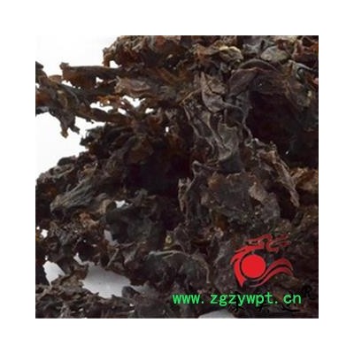 昆布 统货 产地 山东省