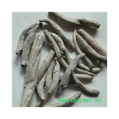 诺源药材行中药材紫茉莉根 粉果根 入地老鼠 钻地老鼠