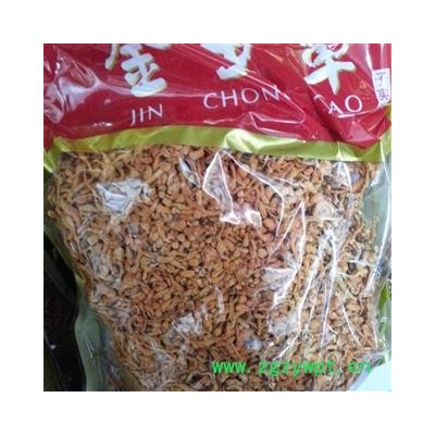 圣草康园虫草花大米金虫草花大孢子头