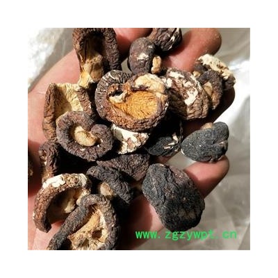 香菇 香菇 产地 福建省