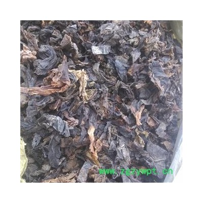 昆布 水洗昆布统货 产地 山东省 国药堂 专注品质
